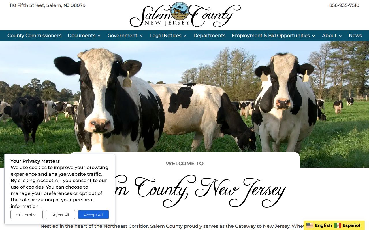 Salem County criminal history government records directory